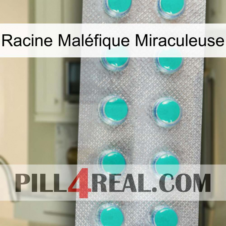 Racine Maléfique Miraculeuse 28